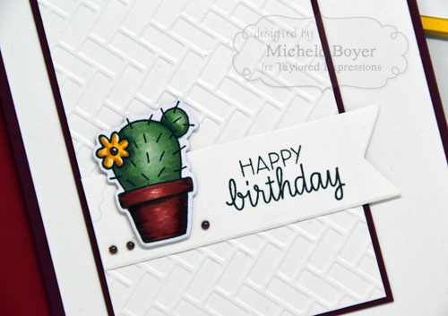 Happy-Birthday-cactus-CU
